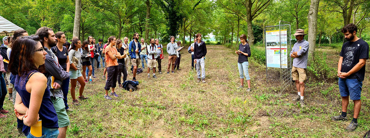 Arbratatouille, recherche en agroforesterie maraichère