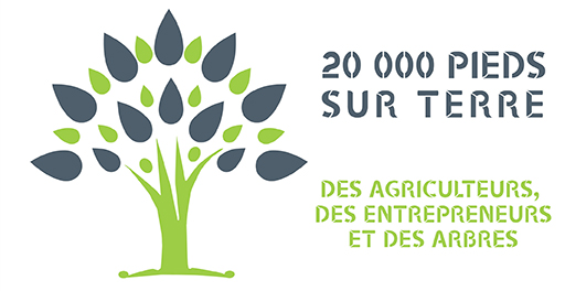 20 000 pieds sur terre